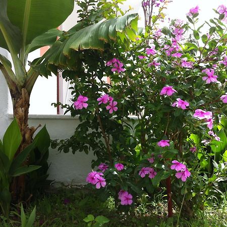 Flower Villa Apart Kemer Bagian luar foto