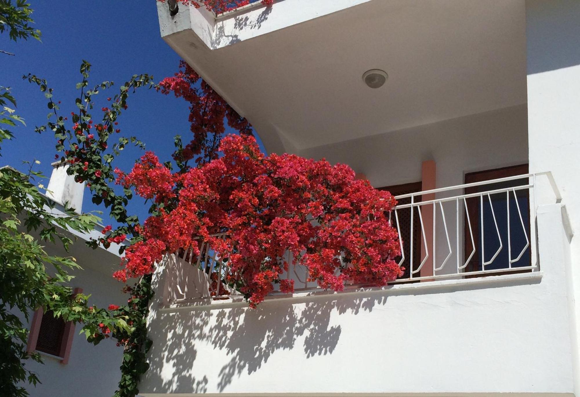 Flower Villa Apart Kemer Bagian luar foto